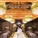 에이미하우스 이미지