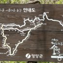 아름다운숲