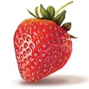 딸기공인중개사사무소 이미지