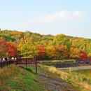 율동공원 이미지