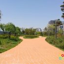 백두빌딩 이미지