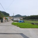 차우리다 이미지