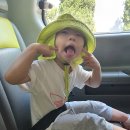 건영농장 이미지