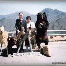 노루땅농장 이미지