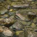 빛나리민박 이미지