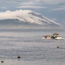 파랑새펜션 이미지