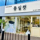 몽실캣 이미지