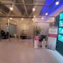 마리엔스 이미지