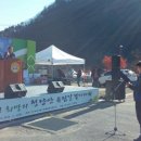 청량산유림길 이미지