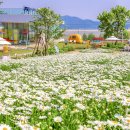 청사로174번길 이미지