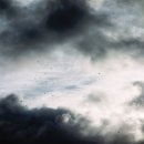 숲의 아이 이미지