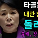 타골왕 최민희, 윤석열 내란잔당들 이미지