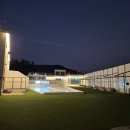 천사펫 | 경주 퍼스펫 #애견펜션 찐찐후기