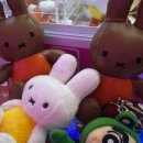 짱구네 인형뽑기 이미지