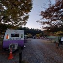 솔숲유원지 이미지