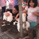 모란시장 이미지