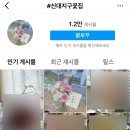 소담꽃 - 서초구 논현로13길 11 | 소담꽃