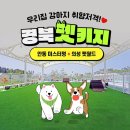 미스터멍 이미지