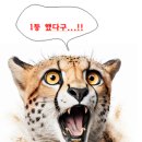 1215회 천기수와 신서풀이(종료) 이미지