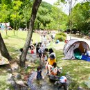 구갈레스피아 이미지