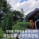 국립 유명산자연휴양림 최신정보, 입장료 주차요금 계곡 데크 캠핑 트래킹코스