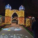 국화축제장 입구 이미지