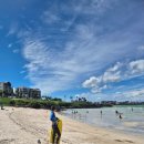 소락스위스 | [스노클링] 함덕해수욕장