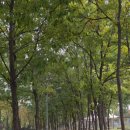 신길역사유적공원 이미지