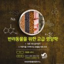 한국반려동물영양연구소 이미지