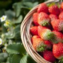 주식회사 팩토리얼홀딩스 이미지