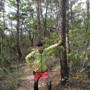 장년산 ‘부산 치유의 숲’에서 심신 힐링 이미지