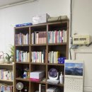 홍금동물병원 | 부산 수영 | 금동철학관