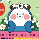 SW코딩2급 이미지