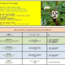 10월 18일. 한국의 탄생화와 부부사랑 / 말채나무, 흰말채나무, 곰의말채나무 이미지