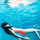 씨유프리다이빙 이미지