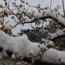 산동-1 이미지