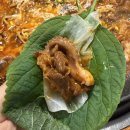 쭈꾸미도사 | 광주 용봉동 전철우사거리 맛집 술집 쭈꾸미도사 내돈내산 후기