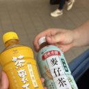 사천문화재단 2층 화장실 | [대만여행] 타이난근교 치메이 박물관 (Chimei Museum) 후기