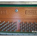 그린빌크리닝 이미지