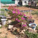 고성농장 이미지