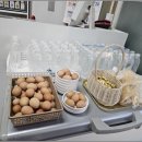 포천빈대떡 이미지