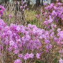 나라의 보배 이미지