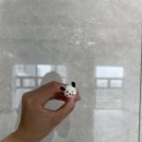 로로아로 이미지