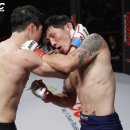 챔피언체육관(태권도) 이미지