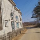 오르난,정(情) Daum카페