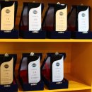 다가스모터스 이미지