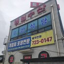 대안길 | 순천 봄도다리 포장 맛집 제철 도다리회 제대로 즐긴 영일수산 내돈내산 후기
