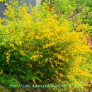 황장산등산로 입구 이미지