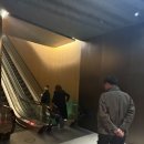 오션트리 | 아난티 앳부산 빌라쥬 오션뷰 캐빈 숙박 후기 및 이용정보 트리사진찍기꿀팁