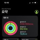 따자하오 이미지